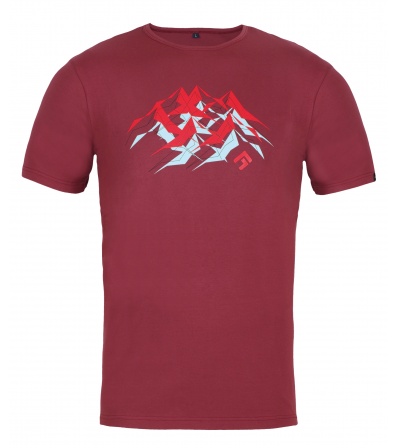 Блуза Direct Alpine Flash 5.0 M's